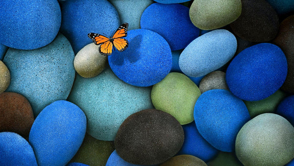 Butterfly Pebbles